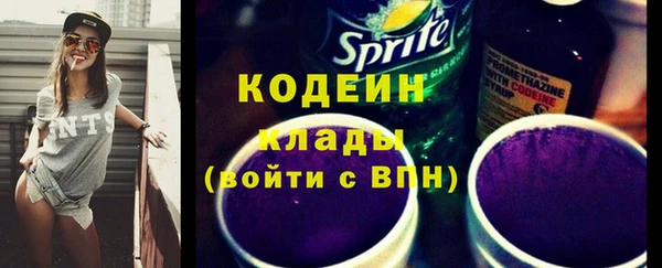 дживик Верхний Тагил
