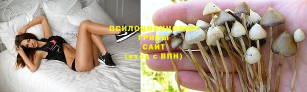 дживик Верхний Тагил