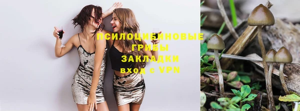 твердый Верея
