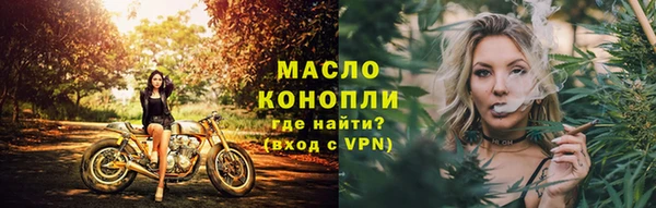 дживик Верхний Тагил