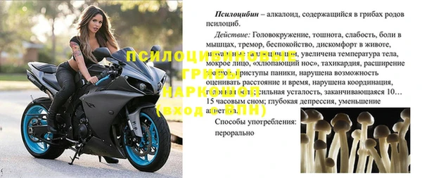 дживик Верхний Тагил