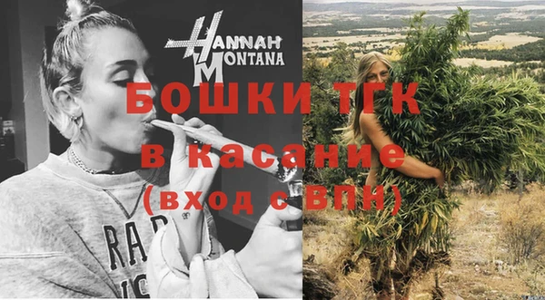 дживик Верхний Тагил